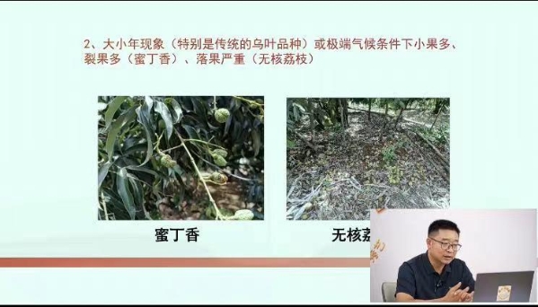鍥剧墖3.jpg