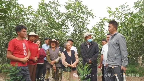 阿瓦提1.jpg